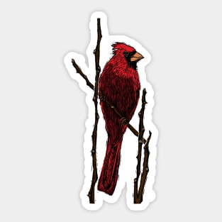 Northern Cardinal Sticker